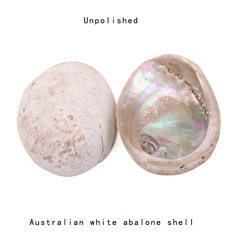 12-16CM Natural New Zealand Ab - Jewelry Making New Zealand 评论和价格