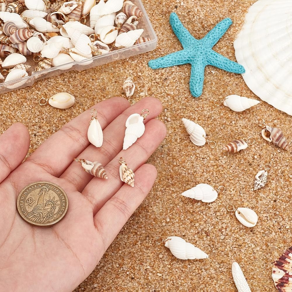 100pcs 4 Styles Natural Shell  - Jewelry Making Tutorials 评论和价格