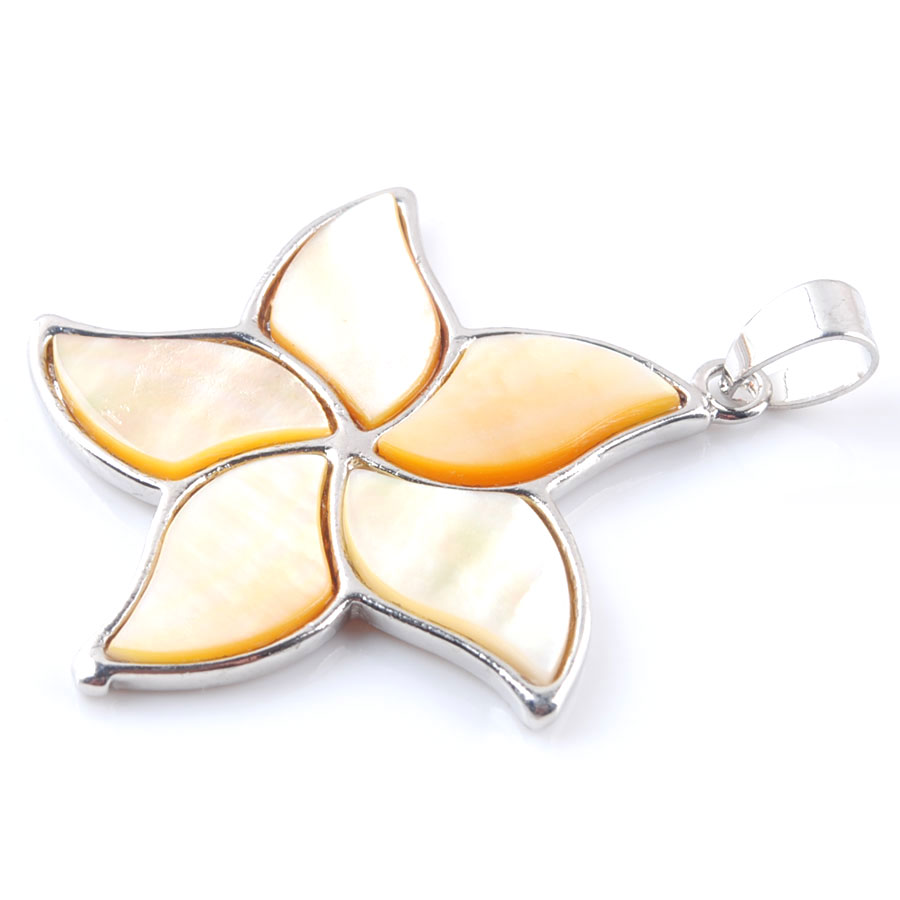 5pcs Natural New Zealand Abalo - Jewelry Making New Zealand 评论和价格